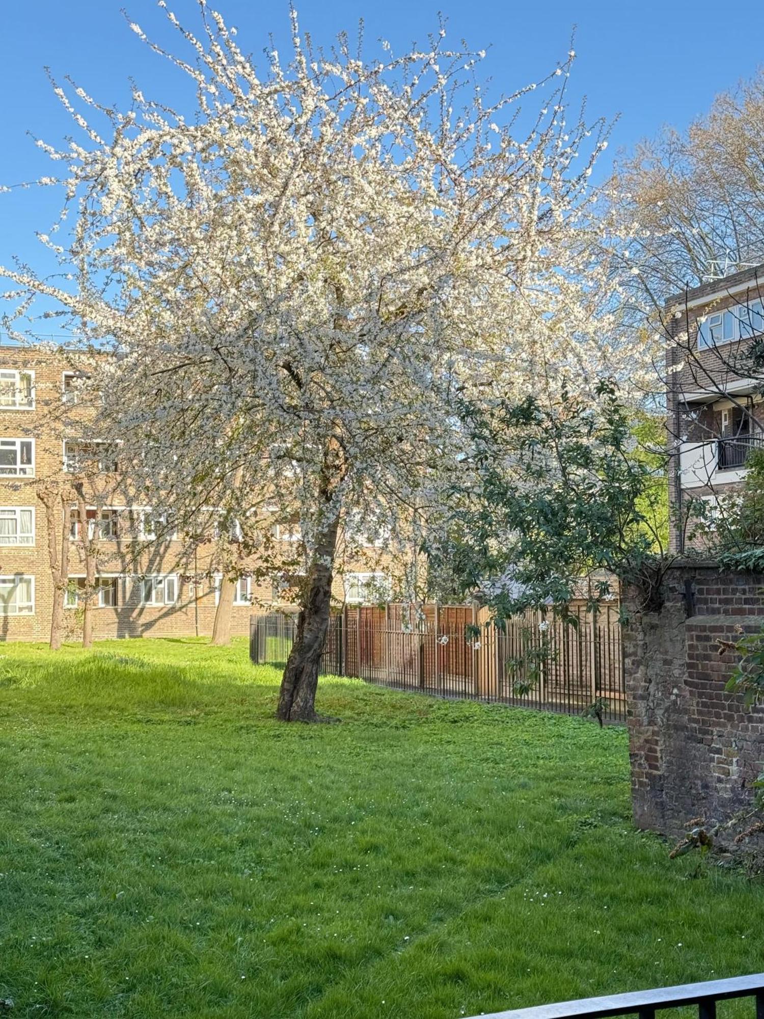 Shoreditch Apartments By Dc London Rooms Room photo